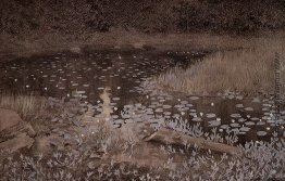 Jomfruland Lilypond Jomfruland Lilypond