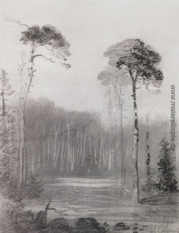 Landschaft Landschaft