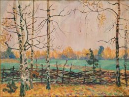 Birken am Zaun Birken am Zaun