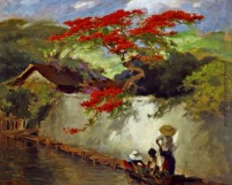 Flamboyant im Dorf Flamboyant im Dorf