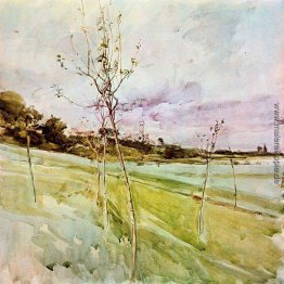 Nach dem Hurrikan Nach dem Hurrikan