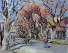 Carpentras, Provence Carpentras, Provence