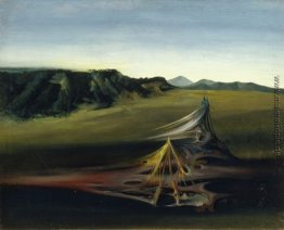 Organische Landschaft Organische Landschaft
