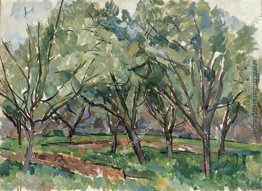 Obstgarten Obstgarten