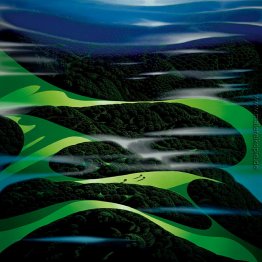 Grüne Felder Grüne Felder