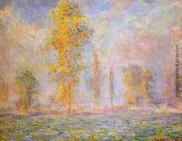 Wiese in Giverny Wiese in Giverny