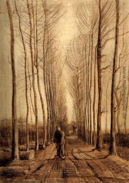 Allee der Pappeln Allee der Pappeln