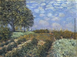 Die Felder Die Felder