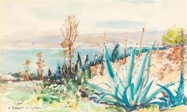 Paysage méditerranéen Paysage méditerranéen