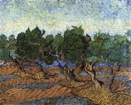 Olivenhain Olivenhain