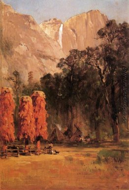 Acorn Getreidespeicher, von Piute Indianerlager in Yosemite Acorn Getreidespeicher, von Piute Indianerlager in Yosemite