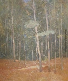 Landschaft Landschaft