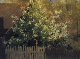 Vogel Cherry Tree Vogel Cherry Tree