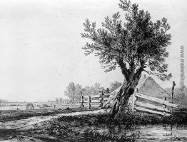 Landschaft Landschaft