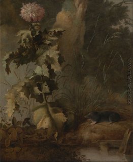 Ein ägyptischer Poppy und eine Wasser Mole Ein ägyptischer Poppy und eine Wasser Mole