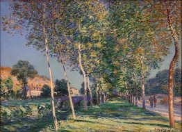 Die Lane von Pappeln am Moret auf Loing Die Lane von Pappeln am Moret auf Loing