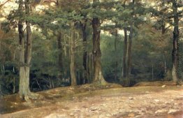 Im Park Im Park