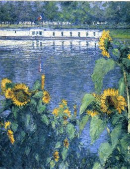 Sonnenblumen auf dem Ufer der Seine Sonnenblumen auf dem Ufer der Seine
