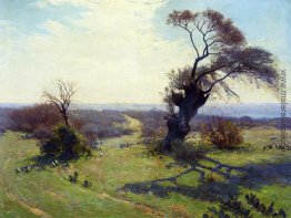 Morgen im Frühjahr Morgen im Frühjahr