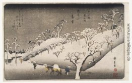 Abend-Schnee auf dem Berg Asuka Abend-Schnee auf dem Berg Asuka