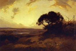 Goldener Abend, Southwest Texas Goldener Abend, Southwest Texas