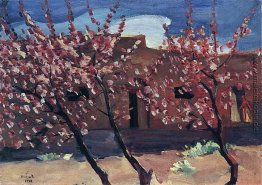 Blühende Pfirsiche Blühende Pfirsiche