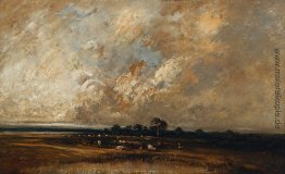 Landschaft Landschaft