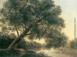 Baum am Bach Baum am Bach