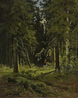 Waldlandschaft Waldlandschaft