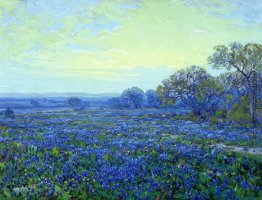 Bereich der Bluebonnets unter bewölktem Himmel Bereich der Bluebonnets unter bewölktem Himmel