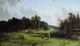 Coppice (Mittag) Coppice (Mittag)