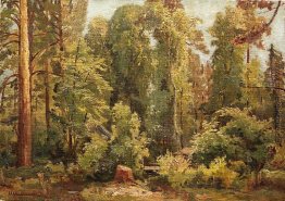 Im Wald Im Wald