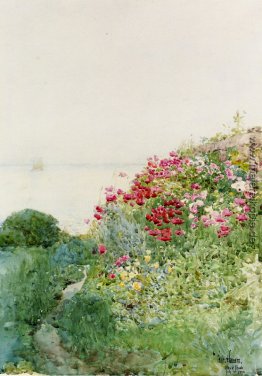 Feld der Mohnblumen, Inseln von Shaos, Appledore Feld der Mohnblumen, Inseln von Shaos, Appledore