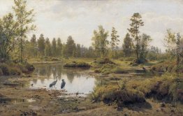 Sumpf. Polissia Sumpf. Polissia