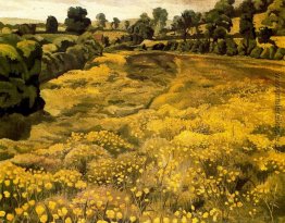 Butterblumen in einer Wiese Butterblumen in einer Wiese
