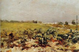 C leyran Ansicht der vignards C leyran Ansicht der vignards