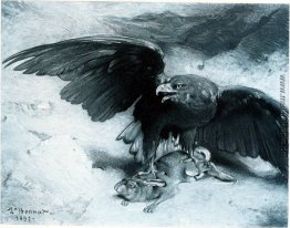 Aigle et Lapin Aigle et Lapin