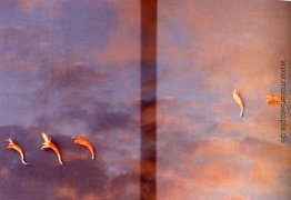 Untitled (35-mm-Folie) Untitled (35-mm-Folie)