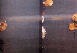 Untitled (35-mm-Folie) Untitled (35-mm-Folie)