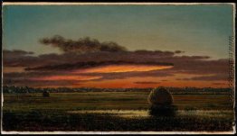 Sonnenuntergang über den Sümpfen Sonnenuntergang über den Sümpfen