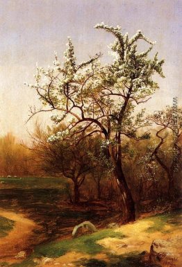 Birnen-Blüten Birnen-Blüten