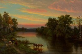 Sonnenuntergang mit Kühen Sonnenuntergang mit Kühen