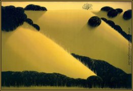 Golden Hills Golden Hills