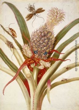 Ananas und Kakerlaken Ananas und Kakerlaken