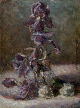 Iris in einer Vase 1886 Iris in einer Vase 1886
