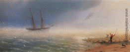 Schafe, die im Sturm zum Meer Zwangs Schafe, die im Sturm zum Meer Zwangs