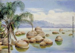 Palmen und Felsbrocken in der Bucht von Rio, Brasilien Palmen und Felsbrocken in der Bucht von Rio, Brasilien
