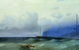 Meer Meer