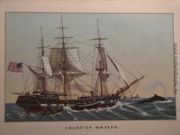 Amerikanischer Whaler Amerikanischer Whaler