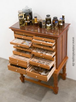 Reisen von William Bartram Reconsidered Reisen von William Bartram Reconsidered